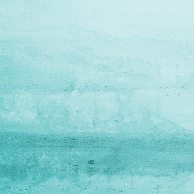 WS Forever and Always: Something New