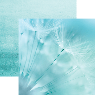 WS Forever and Always: Something New