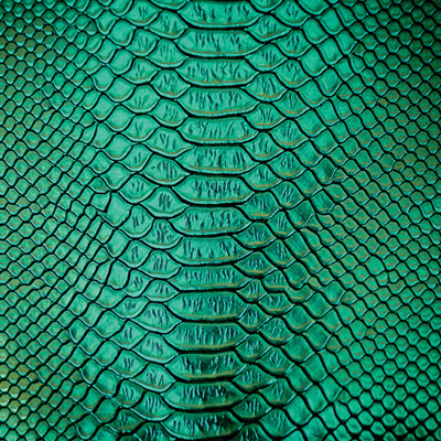 Costume Play: Snake Skin