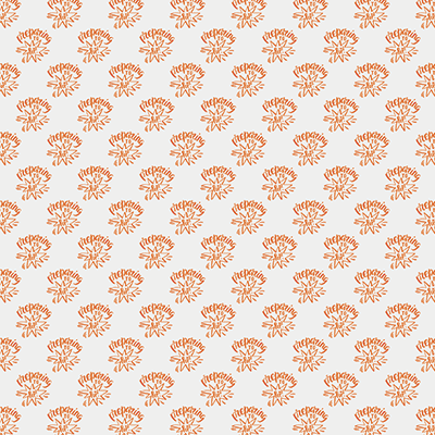 Bump to Baby: Baby Clothes