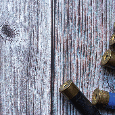 Hunting Life: Shotgun Shells