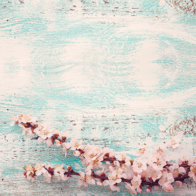 WS Forever and Always: Something Old