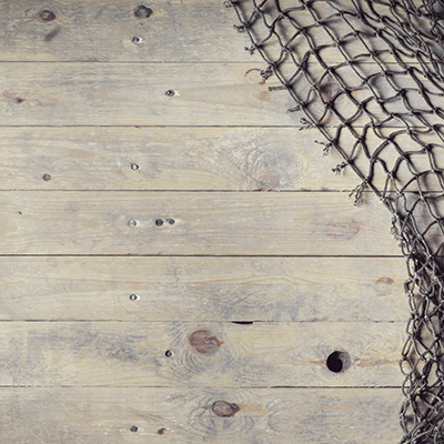 WS Hooked on Fishing: The Catch