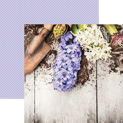 Growing Garden: Lilac Hyacinth