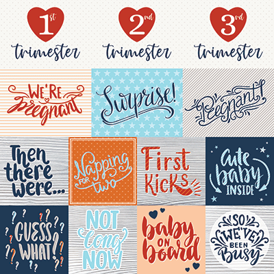 Bump to Baby: Bump to Baby