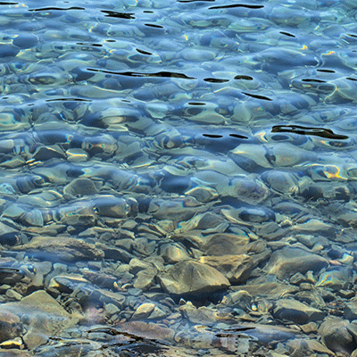 Vitamin Sea: Crystal Clear