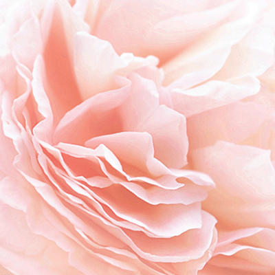 Forever and Always: Something Borrowed