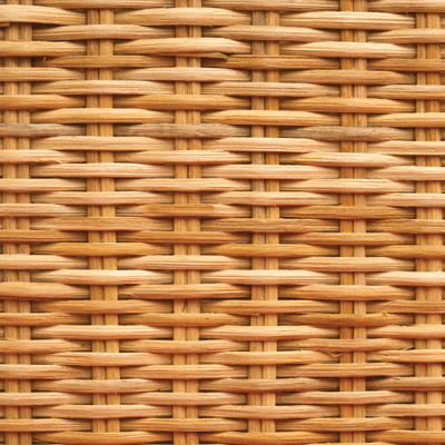 WS Growing Garden: Let's Dig In