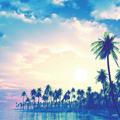 All Inclusive Vacation: Poolside