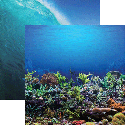 All Inclusive Vacation: Underwater