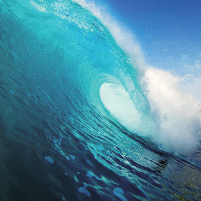 WS All Inclusive Vacation: Underwater