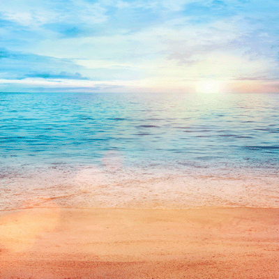 WS All Inclusive Vacation: Caribbean Beach