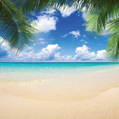 WS All Inclusive Vacation: Paradise