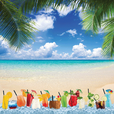 WS All Inclusive Vacation: Paradise