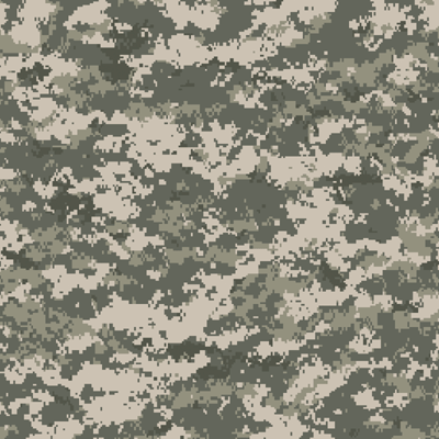 WS Army: Army Camo