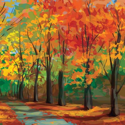 Autumn Splendor: Autumn Trail