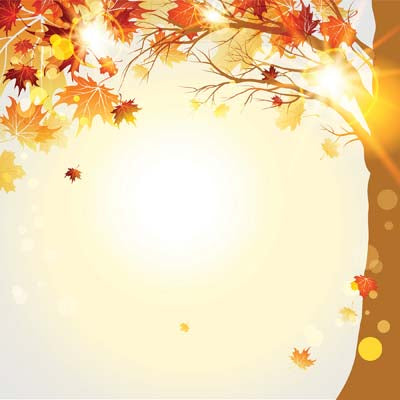 Autumn Splendor: Autumn Splendor