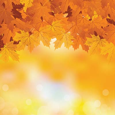 WS Autumn Splendor: Autumn Splendor