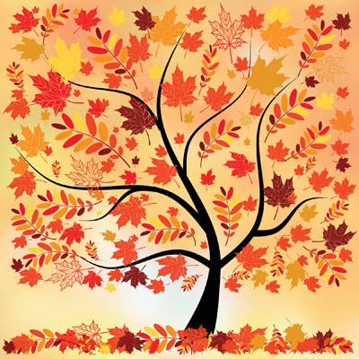 Autumn Splendor: Autumn Leaves