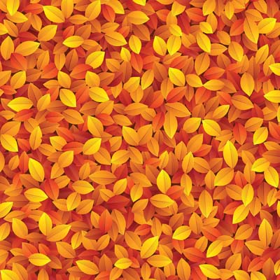 Autumn Splendor: Splashes of Color