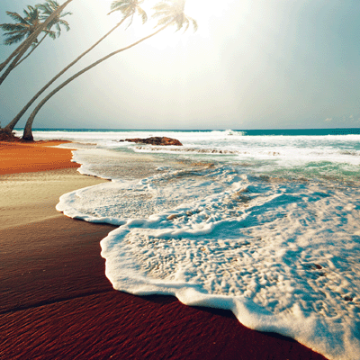 At the Beach: Beachin' It