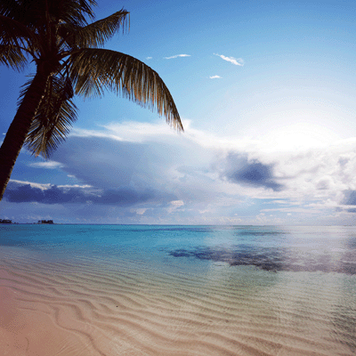 At the Beach: Beachin' It