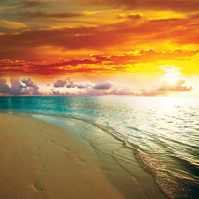 WS At the Beach: Sunset in Paradise