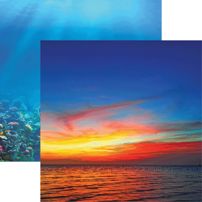 WS At the Beach: At the Beach