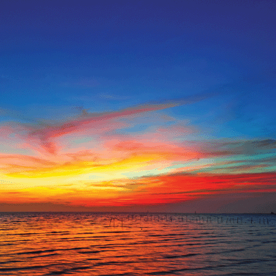 WS At the Beach: At the Beach