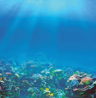 At the Beach: At the Beach