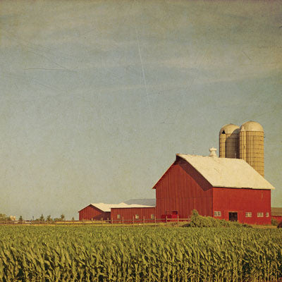 At the Farm: At the Farm