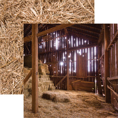 At the Farm: In the Barn