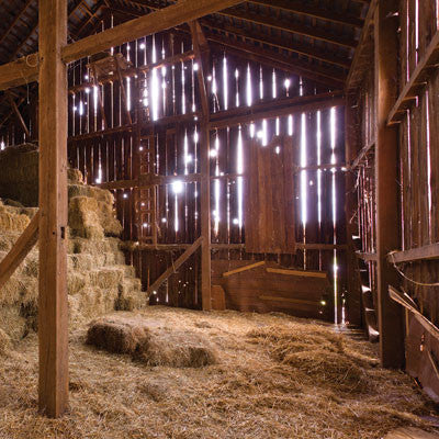At the Farm: In the Barn