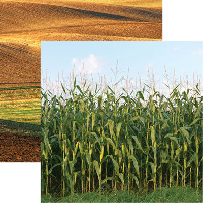 WS At the Farm: Field of Dreams