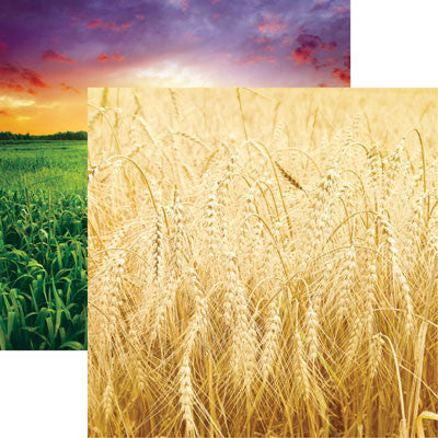 WS At the Farm: Wide Open Spaces