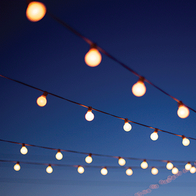 Backyard BBQ: Summer Evening