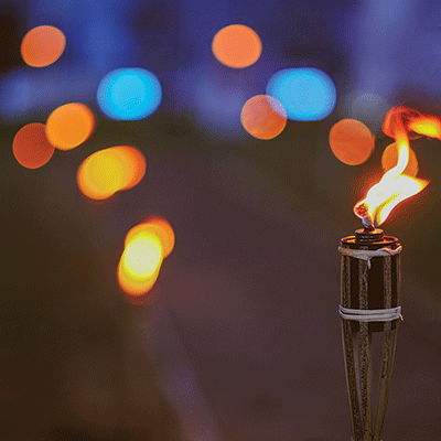 Backyard BBQ: Summer Evening