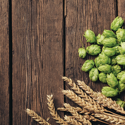 WS Beer Thirty: Potential