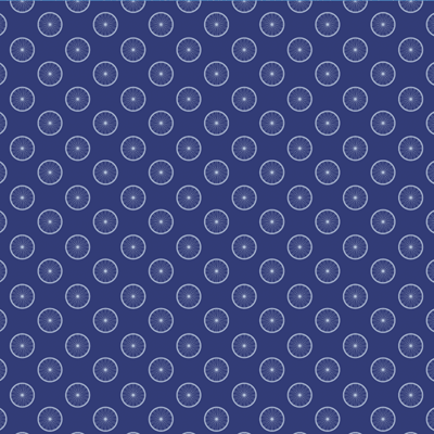 WS Bike Life: Wheeley Good