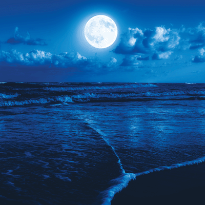 Blue World: Midnight Blue