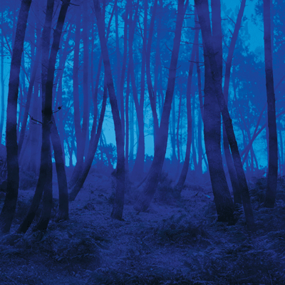 Blue World: Midnight Blue