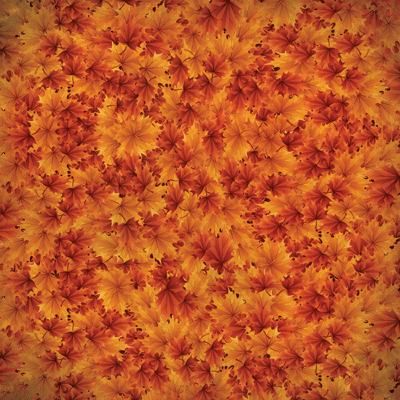 WS Best of Harvest: Fall Colors