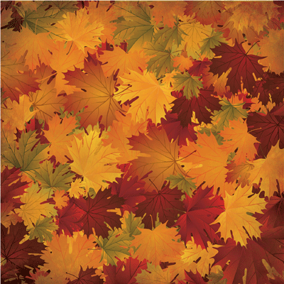 WS Best of Harvest: Fall Colors