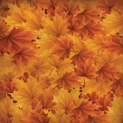 Best of Harvest: Copper Colors