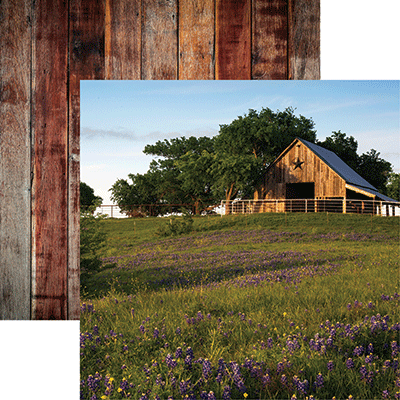 Barnwood Beauty: Barnwood Beauty 1