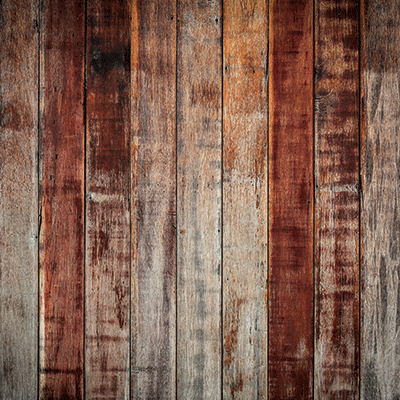 WS Barnwood Beauty: Barnwood Beauty 1