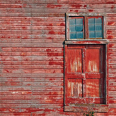 WS Barnwood Beauty: Barnwood Beauty 2