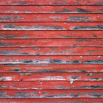 Barnwood Beauty: Barnwood Beauty 2