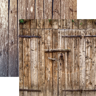 WS Barnwood Beauty: Barnwood Beauty 3