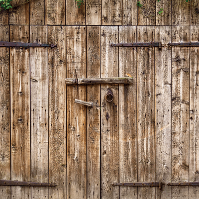 Barnwood Beauty: Barnwood Beauty 3